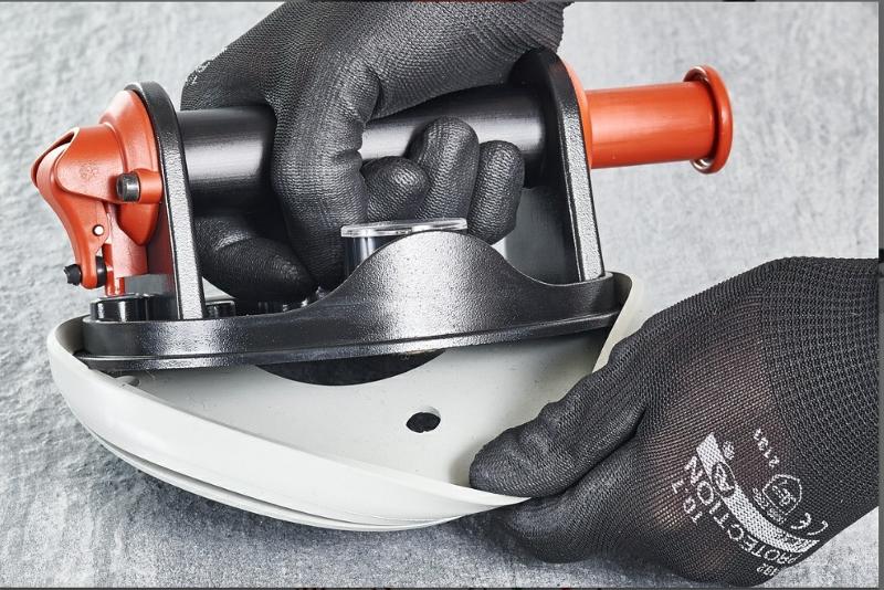 Alipaine_imukuppi_Raimondi_RV175