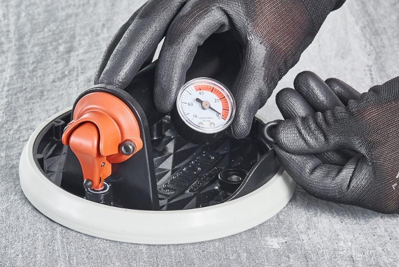 Alipaine_imukuppi_Raimondi_RV175