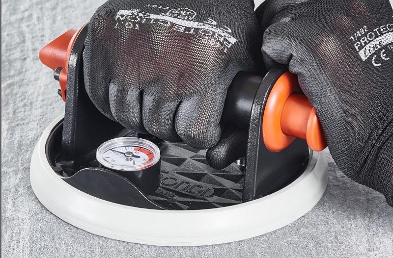 Alipaine_imukuppi_Raimondi_RV175