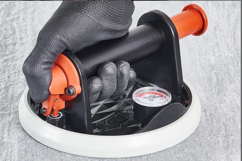 Alipaine_imukuppi_Raimondi_RV175