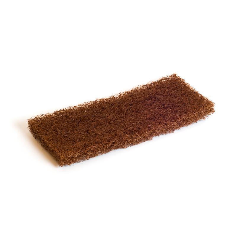 Hankaus_sieni_ruskea