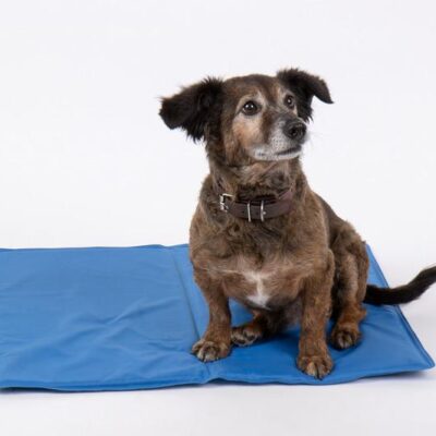 Camp4_Cool_jaahdytysmatto_koirille