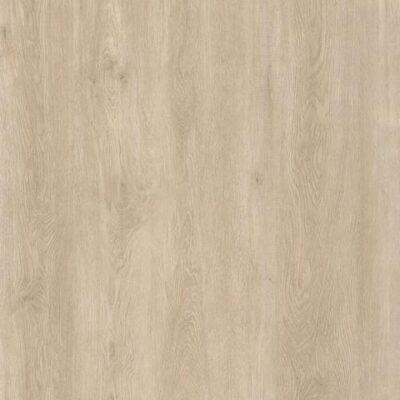 Indoor_33_SPC_PV3411