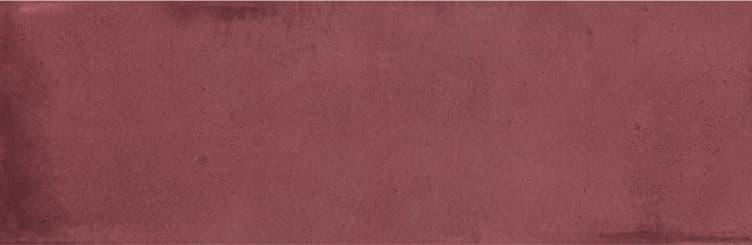 SMALL_PRUNE_GLOSSY_5_1x16_1____0_54__m__ltk_