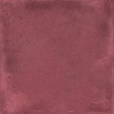 SMALL_PRUNE_GLOSSY_10x10____0_5_m__ltk_