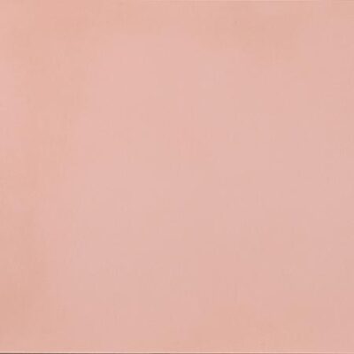 CP11791135_R_EVOLUTION_R_EVOLUTION_LIGHT_PINK_R10_9MM_30_x_60_1_08_m_ltk__jpg