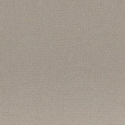 CP1790119_EARTH_EARTH_GRIGIO2_30_x_60_1_08_m_ltk__jpg