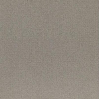 CP1790120_EARTH_EARTH_GRIGIO3_30_x_60_1_08_m_ltk__jpg