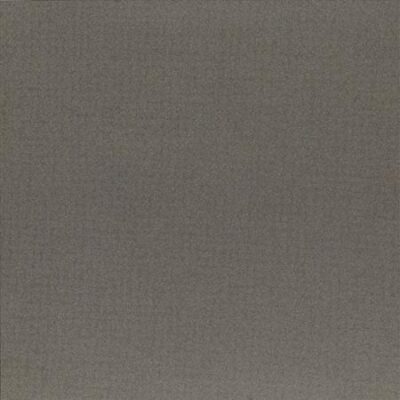 CP1790121_EARTH_EARTH_GRIGIO4_30_x_60_1_08_m_ltk__jpg