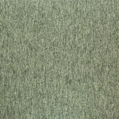 20282_Tivoli_Greenland_fern_50x50_5m_ltk__jpg