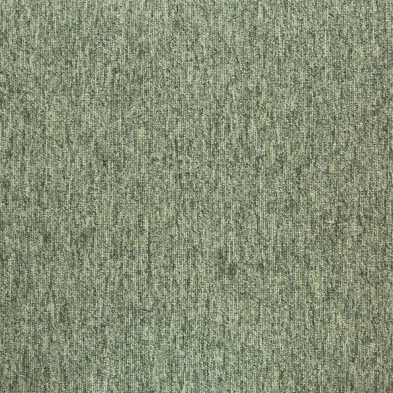 20282_Tivoli_Greenland_fern_50x50_5m_ltk__jpg