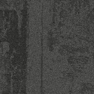 34501_Arctic_Polar_black_50x50_5m_ltk__jpg